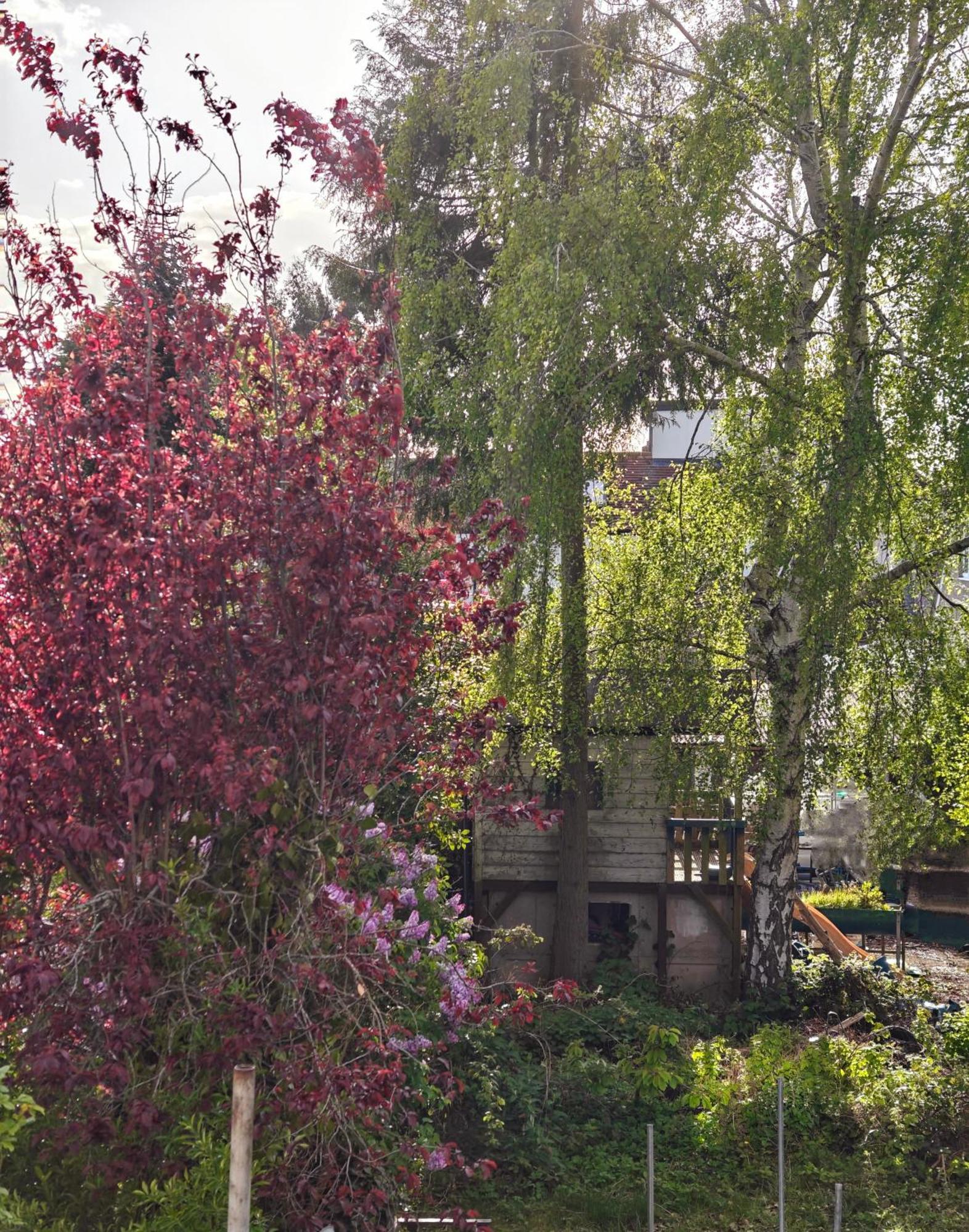 Headington Haven Homestay Oxford Extérieur photo